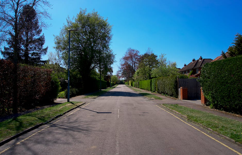 A quiet residential street in daylight with a clear blue sky, lined with greenery including trees and well-maintained hedges on both sides. The pavement is wide with a single lane for vehicles, and there are traditional-style houses with pitched roofs partially visible behind the hedges and fences. A streetlight stands on the left side, casting shadows on the roadway. The scene provides a calm backdrop typical of a suburban area suitable for house removals or home relocation services, with no vehicles or people present in the image at this time.